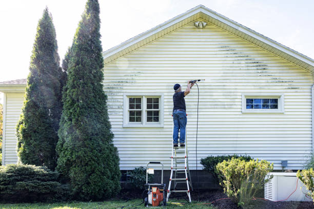 Best Roof Power Washing Services  in USA